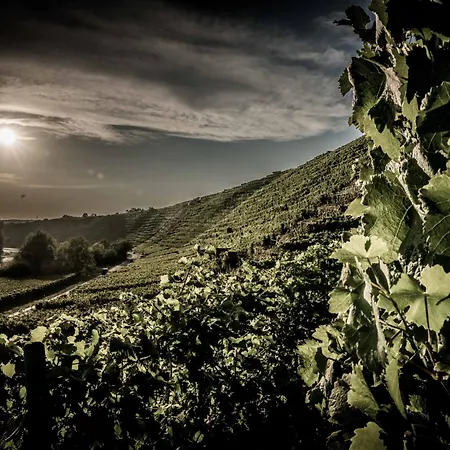 Apartman Charmantes Tiny House In Mit Gartenblick Und Zentrale Lage *